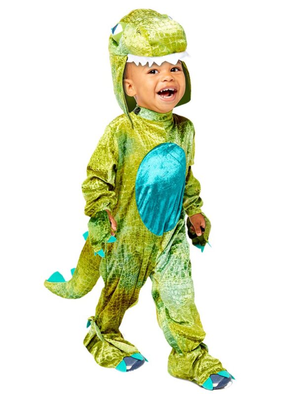 Baby Costume Baby Roar Toddler & Baby Costume