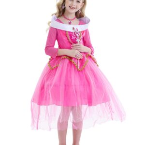 Princess Aurora Dress Costume