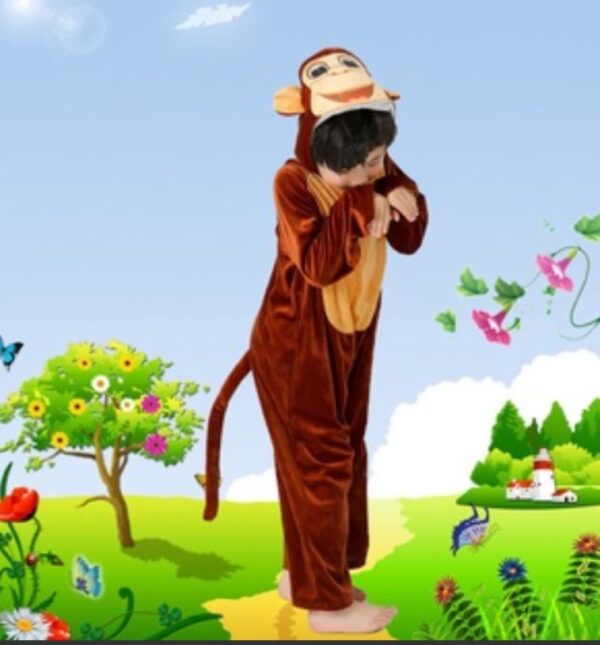 Monkey KIds Costume.