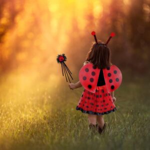 Ladybug Costume Accessories, Lady Bug Costumes for Girls