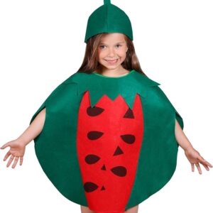 Kids Watermelon Costume