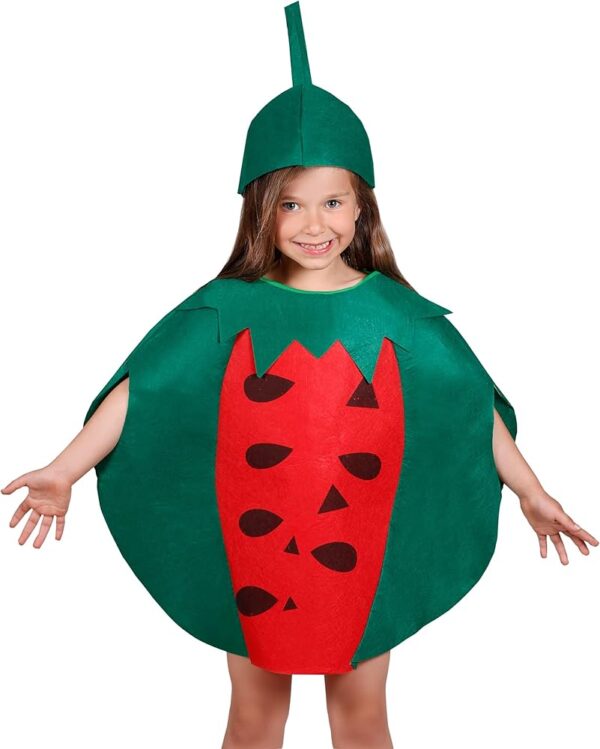 Kids Watermelon Costume